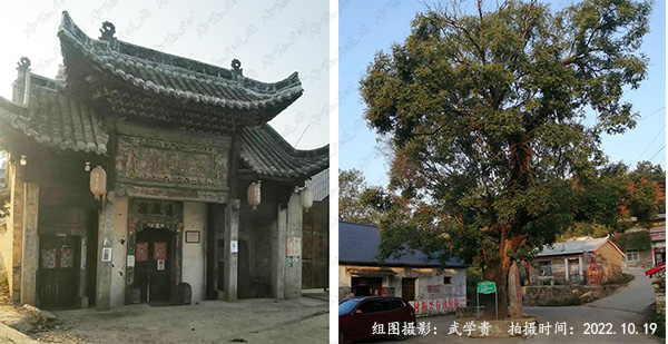 通岳观.jpg