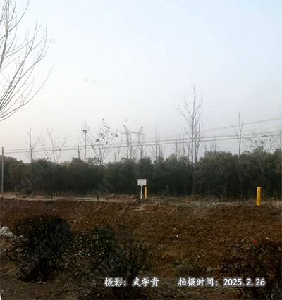 中心岗遗址.jpg