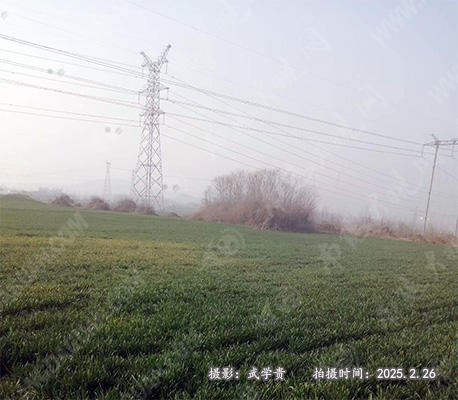 刘洼墓地.jpg