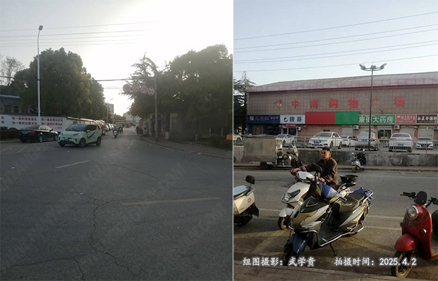 中南厂.jpg
