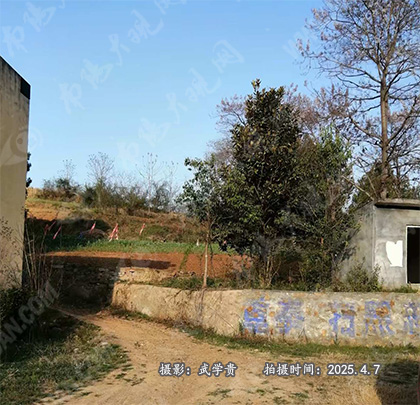 龙桥.jpg